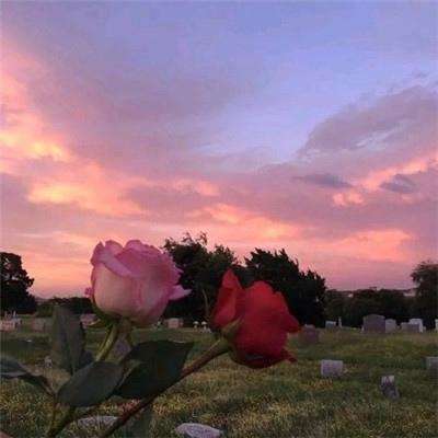 江南平台app下载安装手机app下载