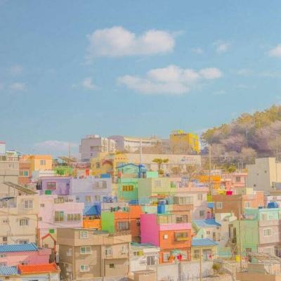 半岛·综合体育中国