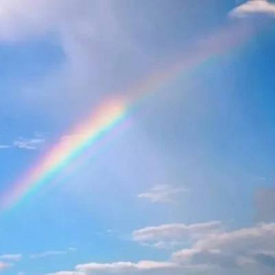 金年汇app官方网