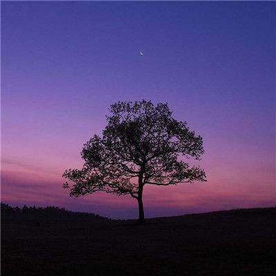 爱游戏app官方网站